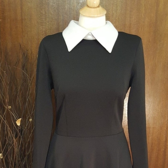 Modecrush Dress - Picture 6 of 10